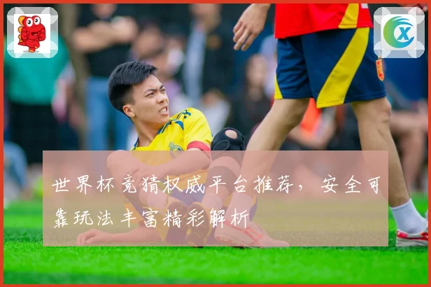 世界杯竞猜权威平台推荐，安全可靠玩法丰富精彩解析