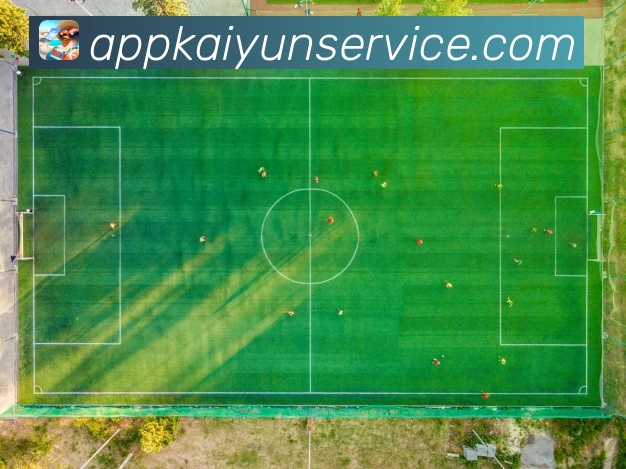 开云平台展示图